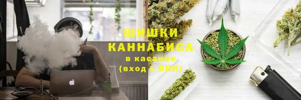 мяу мяу мука Белокуриха