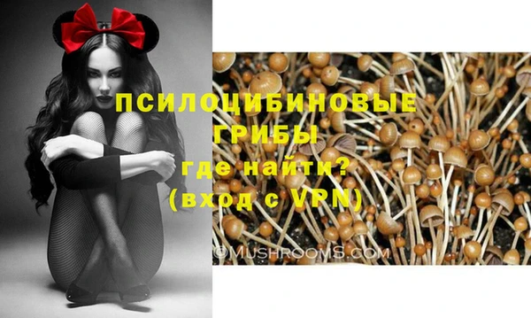 метадон Беломорск