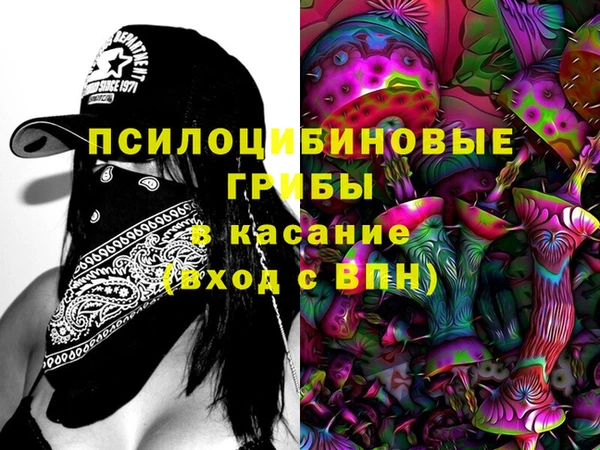 мяу мяу мука Белокуриха