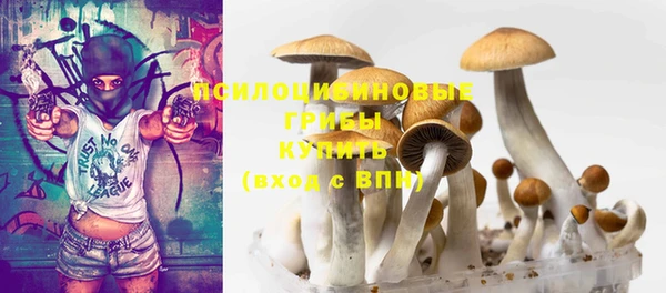мяу мяу мука Белокуриха